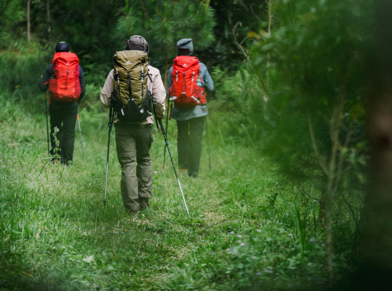 6 Jalur Pendakian Gunung Salak Dan Estimasi Waktunya