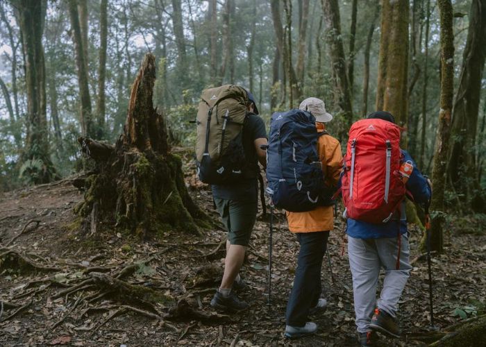 Ada 4 Jalur Pendakian Gunung Ungaran Tentukan Pilihanmu